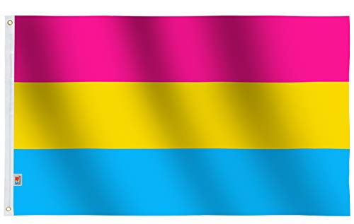 rhungift Pansexual Flag 3x5FtLGBT Pansexuality Omnisexuality Pride BannerFadeResistant Dye Used for Vivid Colors with Brass Grommets100 Super Polyester Material Complete Set Pride Banner (Pan)