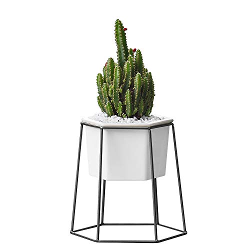 Flexzion Succulent Planter Stand Set w 43 Inch Pot Metal Iron Rack  Small Modern Geometric Ceramic Flower Plant Container Decorative White Vase Holder for Indoor Outdoor Garden Herb Mini Cactus