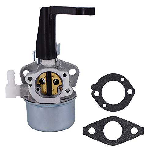 696065 697422 Carburetor with Mounting Gaskets Kit Fits for Briggs  Stratton 110402 110412 215369 Tiller Engine Carb Rototiller Troy Generator Intek Motor Water Pump Carb