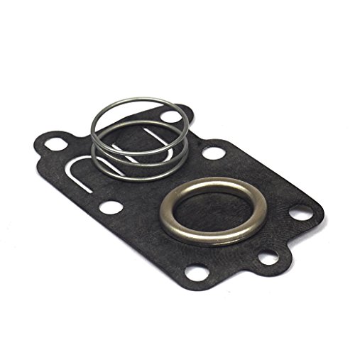 Briggs  Stratton Diaphragm Kit 5021K