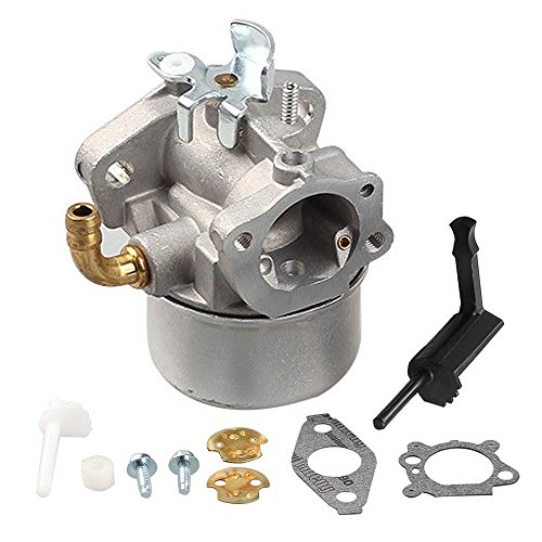 Fuerdi 798653 Carburetor for Briggs  Stratton 697354 790290 791077 698860 Carb New