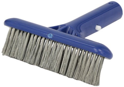 Pentair R500012 410 Molded Back Stainless Steel Algae Brush for Plaster Concrete and Gunite Pools 6Inch