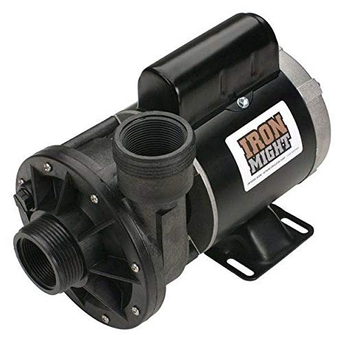 34100201E Waterway Iron Might Pond Pump 230 Volt