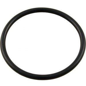 Waterway Plastics 8050436B Swimming Pool Pump Lid Cover ORing for Champion and HiFlo Pumps Same as 8050436