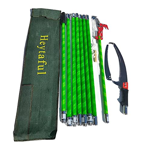 Heytaful 26 Foot Tree Trimmer Pole Saw Manual Pruner Cutter with 2 Styles Blade (Green)