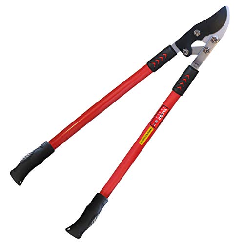 TABOR TOOLS GG11A Bypass Lopper with Compound Action 30 Inch Tree Trimmer Branch Cutter with ⌀ 1 34 Inch Cutting Capacity Delivers Clean Cuts with Ease