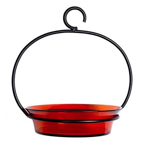 Cuban Flat Bottom Glass Birdbath G445VF Orange Hanging Bird Mealworm Feeder Birdseed Bowl Romantic Decor  More