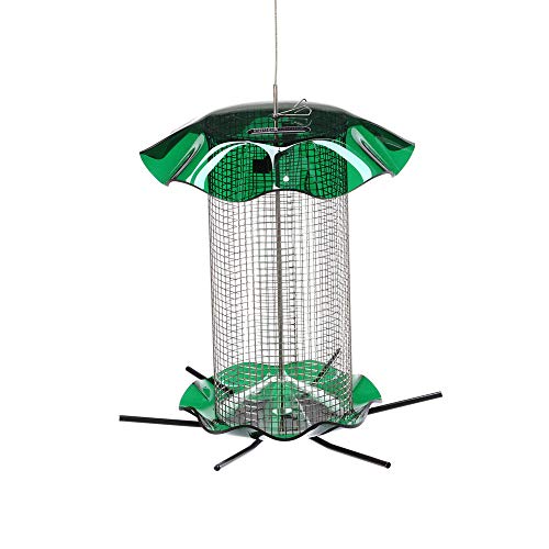 Birds Choice FF212 Forever Feeder Stainless Steel Sunflower Forever Feeder w Hanging Cable 3 Quarts Green