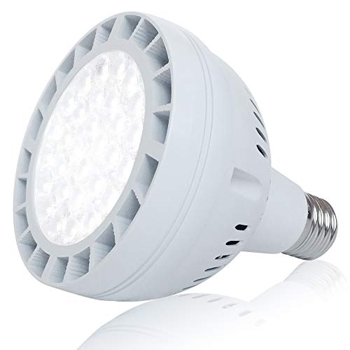 Allisable 50W LED Pool Light Bulb 5000LM 120V 6000K Daylight White LED Swimming Pool Light Bulb Replaces up to 200800W Traditionnal Bulb