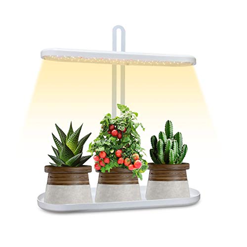 GoGrow Grow Light LED Plant Light for Indoor Plants New Generation Desk Grow Light with Timer Plant Light Grow Lamp Growing Lights Full Spectrum UV Grow Lights