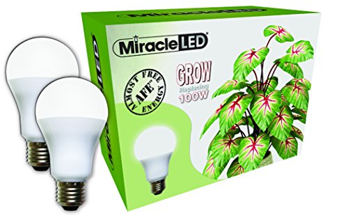 Miracle LED Almost Free Energy 100W Spectrum Grow Lite  Daylight White Full Spectrum LED Indoor Plant Growing Light Bulb for DIY Horticulture Hydroponics and Indoor Gardens (604301) 2Pack
