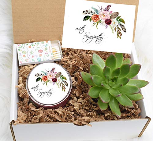 Sympathy Succulents Gift Box  Sorry Gift Box  Cheer up Sunshine Gift  Succulent and Candle Present  Succulents Gift Box (XBB1)