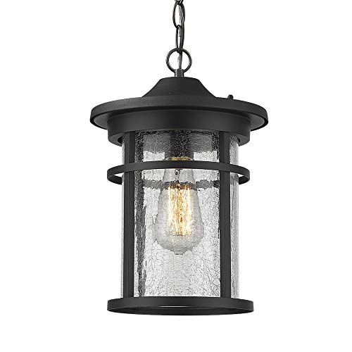 Emliviar Outdoor Hanging Lantern Light Fixture 1Light Exterior Pendant Porch Light in Black Finish with Crackle Glass A208511D1