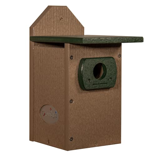 JCs Wildlife Recycled Poly Lumber Standard Bluebird Bird House (Brown and Green)