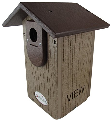 JCs Wildlife Ultimate Eastern and Western Bluebird House  Made in The USA with Recycled Poly Lumber  Viewing Window and Clean Out Door (Brown and Brown)