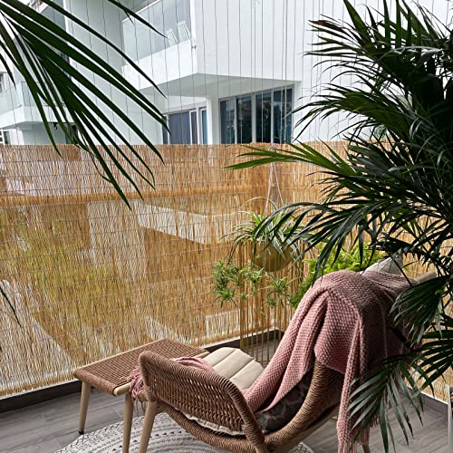 Zlovne Natural ColorWoven Reed Roman ShadeBamboo Roll Up WindowPrivacy Bamboo Roller Shade for Outdoor Patio Balcony Office70 Blackout Sun ShadeCustomizable Size (W31xH39in)