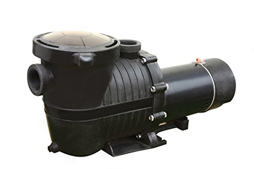 FlowXtreme NE4521 Pro II In Ground Pool Pump 2Speed 52802520 GPH1504HP Black