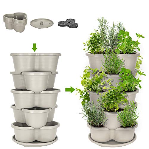 Amazing Creation Stackable Planter Vertical Garden for Growing Strawberries Herbs Flowers Vegetables and Succulents IndoorOutdoor 5 Tier Gardening Tower (Off White)