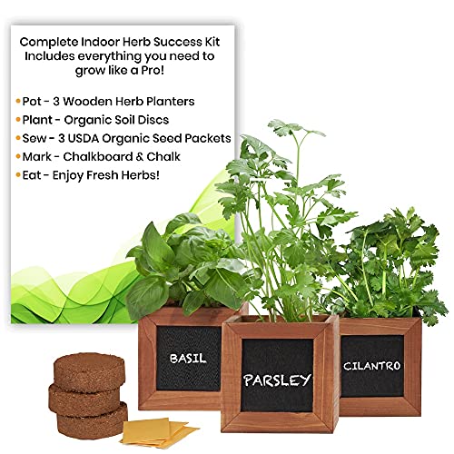 Indoor Herb Garden Kit with Wooden Herb Planters Basil Parsley  Cilantro Organic Herb Seeds A Complete Gardening Kit with Everything to Grow Herb Plants Great Gardening Gifts for Women  Men…