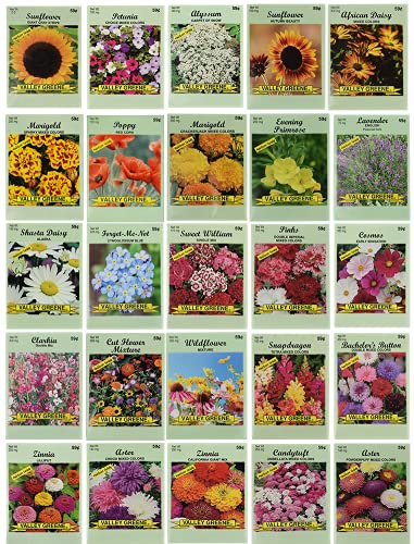 25 Slightly Assorted Flower Seed Packets  Includes 10 Varieties  May Include Forget Me Nots Pinks Marigolds Zinnia Wildflower Poppy Snapdragon and More  Made in the USA