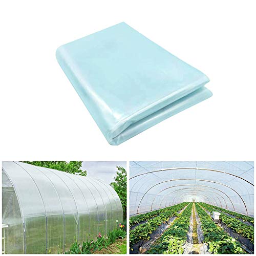 Brave Tour Greenhouse Clear Plastic Film656x131Ft Polyethylene Greenhouse Film Greenhouse Plastic Sheeting Plant Greenhouse Cover Freeze Frost Protection UV Resistan for Garden and Agriculture