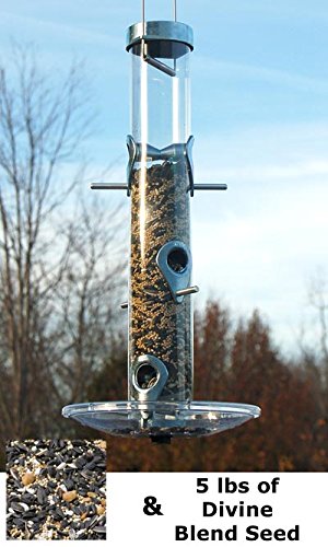 BestNest Droll Yankees A6 Bird Feeder with Tray and Seed