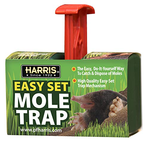 Harris Easy Set Mole Trap Mole Killer for Lawns and Alternative to Poisons and Repellents