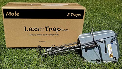 LASSO TRAP Mole Trap (Pack of 2) Galvanized  OilHardened Steel Super CostEffective Reusable  Durable Animal Trap Best in The Lawn Yard Garden Farm All Outdoor Settings w Manual