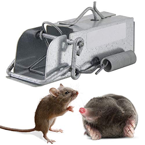 Ouell mini powerful snap trap  reusable mouse trap  mouse traps snap  no touch humane  rat traps  mole traps  mice trap
