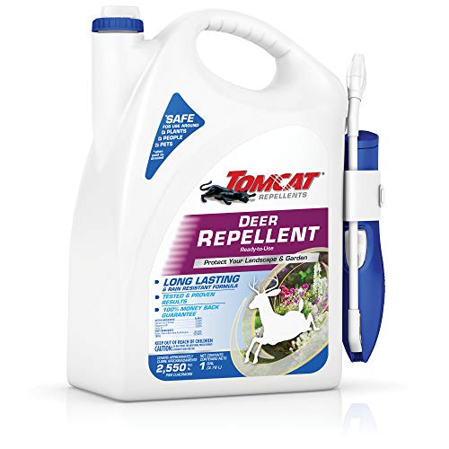 Tomcat Repellents Deer Repellent ReadytoUse1 Spray With Extended Reach Comfort Wand Contains Essential Oils Protects Garden and Landscape No Stink RainResistant 1 gal