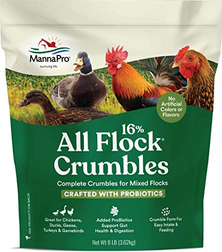 Manna Pro All Flock Crumbles  16 Protein Level  Complete Feed for Chickens Ducks Geese Turkeys and Gamebirds  Probiotics to Support Digestion  No Artificial Colors or Flavors  8 Pounds