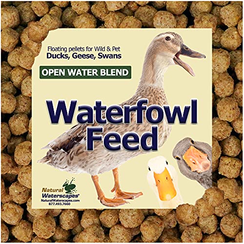 Waterfowl Feed Open Water Diet 40 lb  for Feeding Ducks Geese Swans  Floating Pellets with Niacin for Ducks