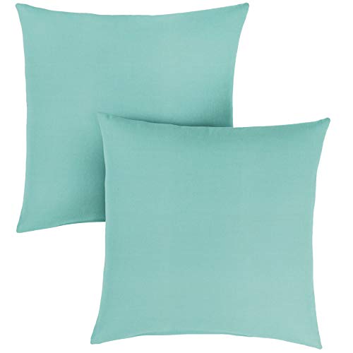 1101Design Sunbrella Canvas Aruba Knife Edge Decorative IndoorOutdoor Square Throw Pillow Perfect for Patio Decor  Aruba Blue 24 (Set of 2)