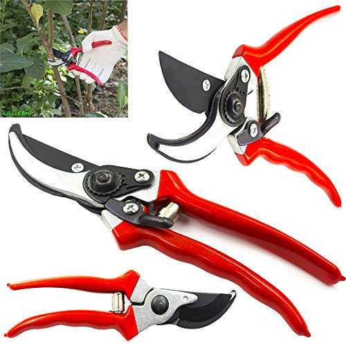 Pruning Shears - Best Tree Trimmer Garden Shears Hand Pruner - Top Choice Bush Shrubamp Hedge Clippers - Razor