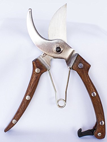 The Last Pruning Shear You Will Buy - Stainless Steel Hand Pruner - This Bypass Pruner Is A Garden Shear Hedge