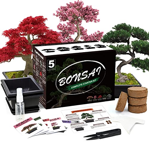 Bonsai Tree Kit 5 Bonsai Tree Seeds with Complete Plant Growing Tools Grow in Pot Indoor Live Plant Bonsai Tree Starter Kit Great Home Gardening Potted Plants DIY Gift for Adults
