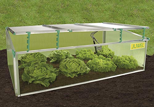 Exaco BioStar 1500 Premium Cold Frame Gardening Tool Pack of 1 Clear