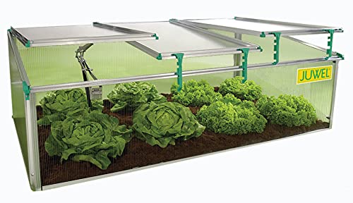 Exaco Biostar 1500NP Juwel Premium Cold Frame Mini Greenhouse 59 in W x 32 in D x 20 in H Clear