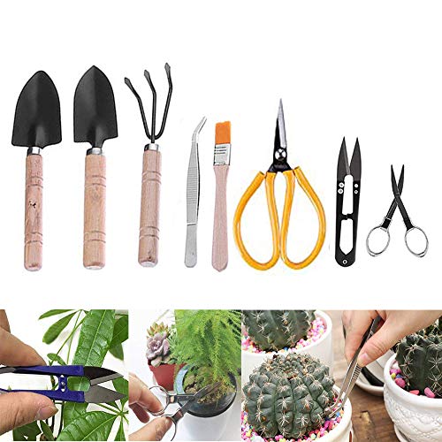 sincerely gift Bonsai Tool Set Bonsai Trimming Tools Kit Succulent Gardening Tools Set （8 Pieces）