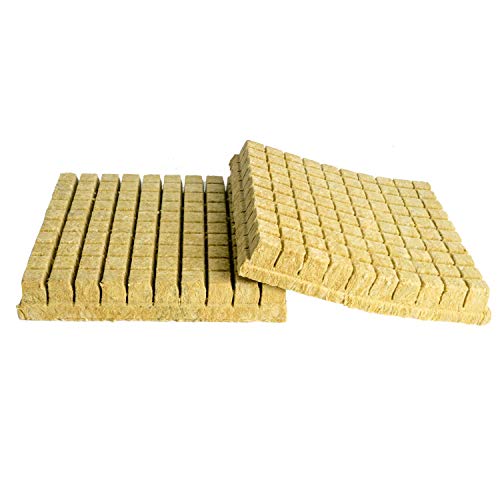 CastleGreens 1inch Rockwool Grow Cubes Starter Plugs for Plant Growing Great for Rooting Cuttings Clone Plants Germination Start Seeds Ideal Hydroponic Grow Media(2 Sheets 200 Plugs Total)
