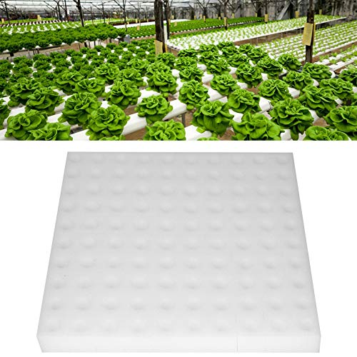 Hydroponic Sponge 100Pcs Hydroponics Seed Growing Media Sponges Pl ng Gardening Tool for Small Bud Growth or Grow Seedlings