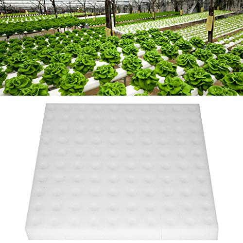 Hydroponic Sponge 100Pcs Hydroponics Seed Growing Media Sponges Pl ng Gardening Tool for Small Bud Growth or Grow Seedlings