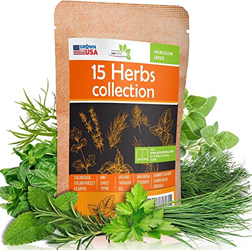 15 Culinary Herb Seeds Pack  Heirloom and Non GMO Grown in USA  Indoor or Outdoor Garden  Basil Parsley Dill Cilantro Rosemary Mint Thyme Oregano Tarragon Chives Sage Arugula  More