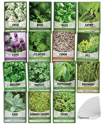 15 Herb Seeds For Planting Varieties Heirloom NonGMO 5200 Seeds Indoors Hydroponics Outdoors  Basil Catnip Chive Cilantro Oregano Parsley Peppermint Rosemary and More By Gardeners Basics