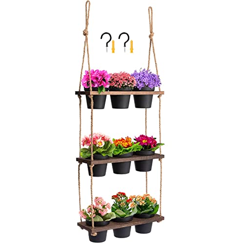 3 Tier Hanging Herb Shelf Window Plant Shelf with Flower Pot Hanging Planter Shelf with Hole for Ventilation Vertical Succulent Hanger for Indoor Plant