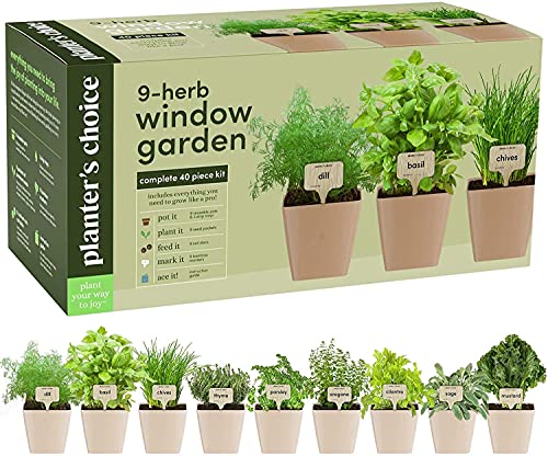 9 Herb Window Garden  Indoor Herb Starter Kit  Unique Gardening Gifts for Women  Men Cook  Kitchen Windowsill Growing Kit  Guide to Easily Grow 9 Herbs  Best Unusual Birthday Gift for Cooking