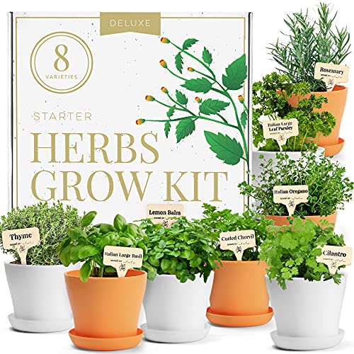 Deluxe Herb Garden Grow Kit  8 Variety Indoor and Outdoor Herb Seed Starter Kit  Get Growing wPots Potting Soil and Detailed Gardening Guide by Home Grown  DIY Gardening Gifts for Women  Men