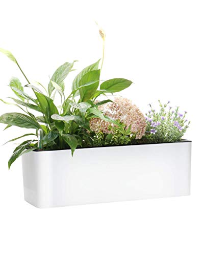 Elongated Self Watering Planter Pots Window Box 55 x 16 inch with Coconut Coir Soil Indoor Home Garden Modern Decorative Planter Pot for All House Plants Flowers Herbs 1 White 55 x16