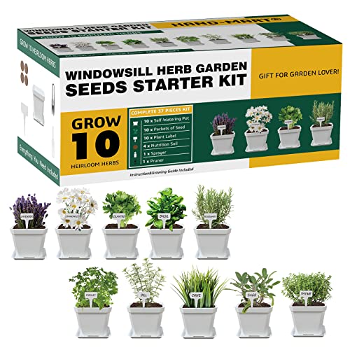 Herb Garden Windowsill Starter Kit  10 Herb Seeds Indoor Kitchen Growing Herb Complete Set Including Everything for Beginner  DIY Garden Gifts for Kid Adult