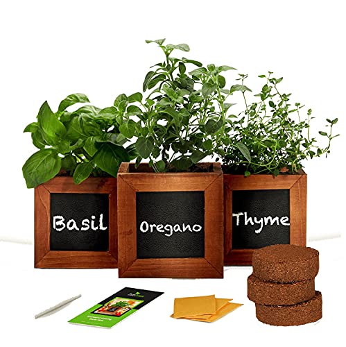 Indoor Herb Garden Kit with Wooden Herb Planters Basil Oregano  Thyme Organic Herb Seeds A Complete Gardening Kit with Everything to Grow Herb Plants Great Gardening Gifts for Women  Men